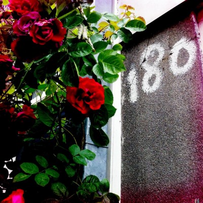 white sprayed house number 180 next to red roses in Amsterdam