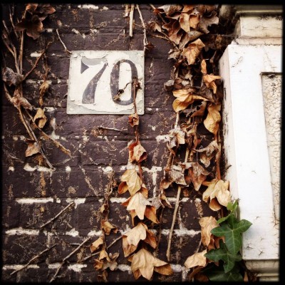 house number 70 surrounded by ivies on a brick wall in Amsterdam