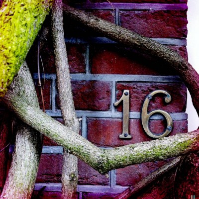 house number 16 on a brick wall surrounded by branches, in Amsterdam