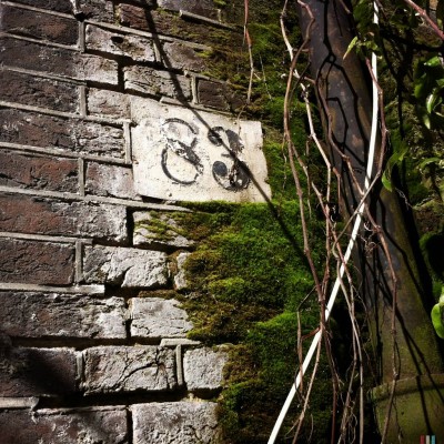 house number 83 on a brick wall with moss and branches, in Amsterdam