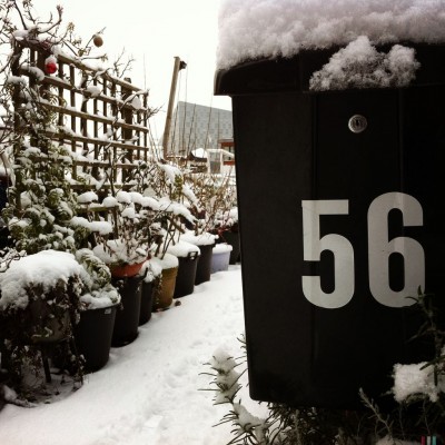White house number 56 on a black snowed letter box in Amsterdam